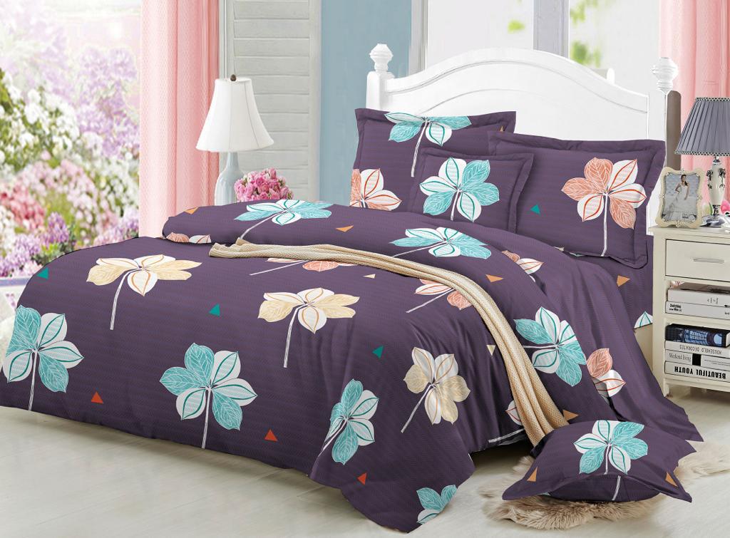 Normal BB cotton bedsheet with 4 pillow cases