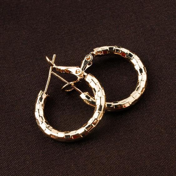 New Alloy Plating Real Gold Geometric Thick Women's Earrings
