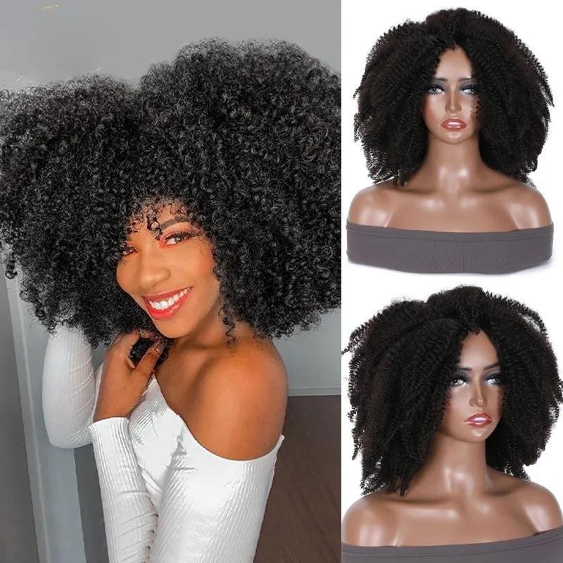 Bloom Short Afro Wigs Human Hair For Black Women 200% Density Curly Hair Capless African American Wigs